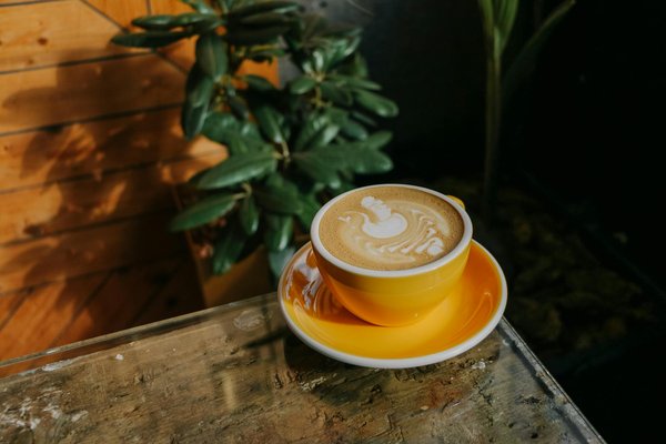 Explore des fragrances exclusives : le meilleur du parfum de niche