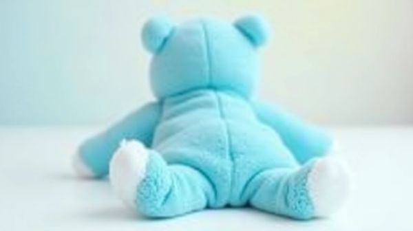 Kigurumi : ce que le pyjama japonais doit aux mascottes de rue